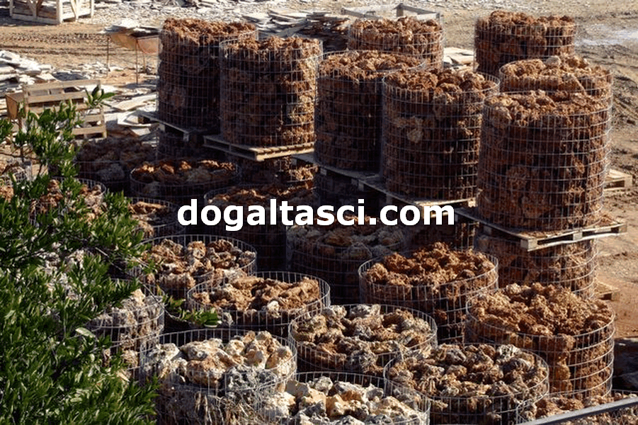 Falez Taşları ve Dekoratif Kayalar - Görsel 14