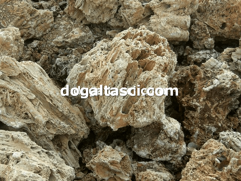 Falez Taşları ve Dekoratif Kayalar - Görsel 16