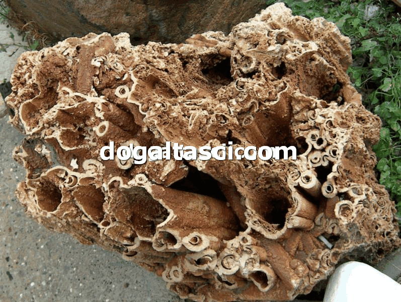 Falez Taşları ve Dekoratif Kayalar