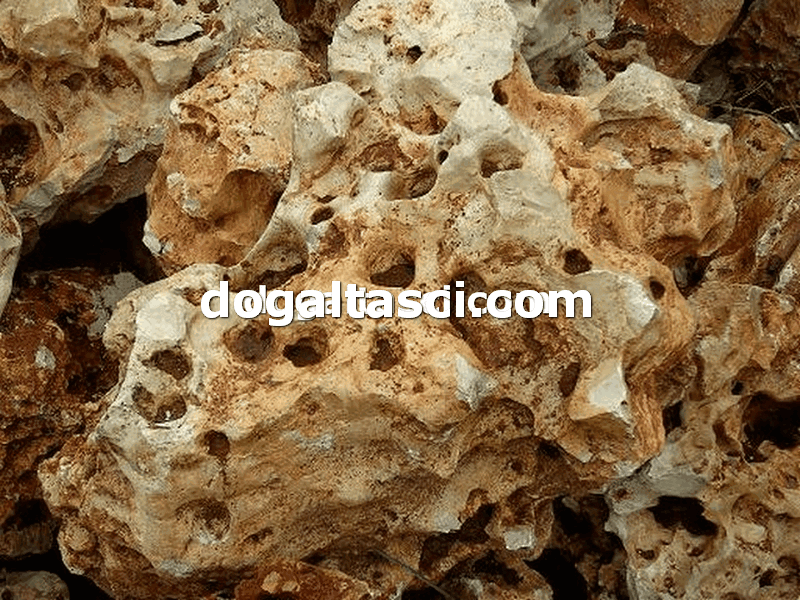 Falez Taşları ve Dekoratif Kayalar - Görsel 8