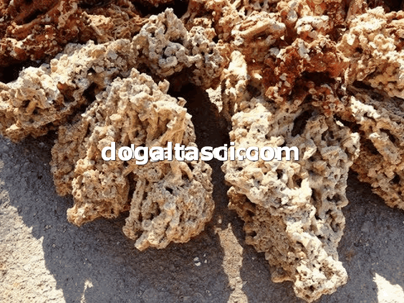 Falez Taşları ve Dekoratif Kayalar - Görsel 2