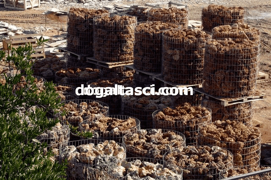 Falez Taşları ve Dekoratif Kayalar - Görsel 4