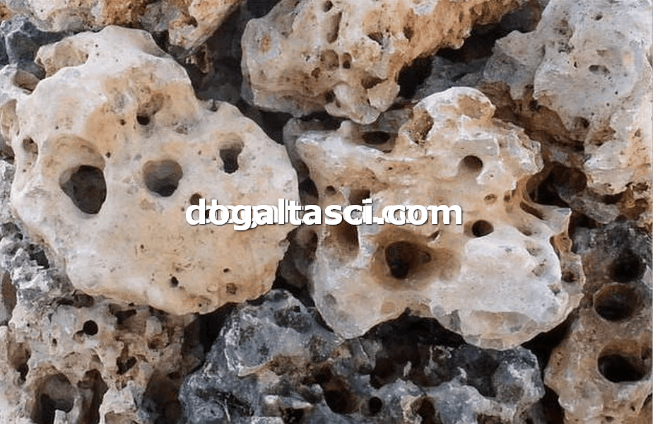 Falez Taşları ve Dekoratif Kayalar - Görsel 10