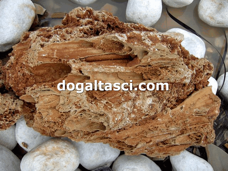 Falez Taşları ve Dekoratif Kayalar - Görsel 24